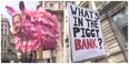 #ResignDavidCameron protesters are making a lot of pig jokes on their signs, of course