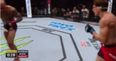 Crunching right hand makes UFC welterweight “chicken dance” across the Octagon