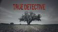 Season 3 of True Detective has cast its second leading actor