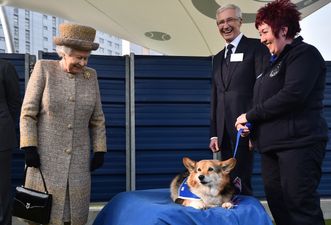 Paul O’Grady leaves £500k to Battersea Dogs Home in his will