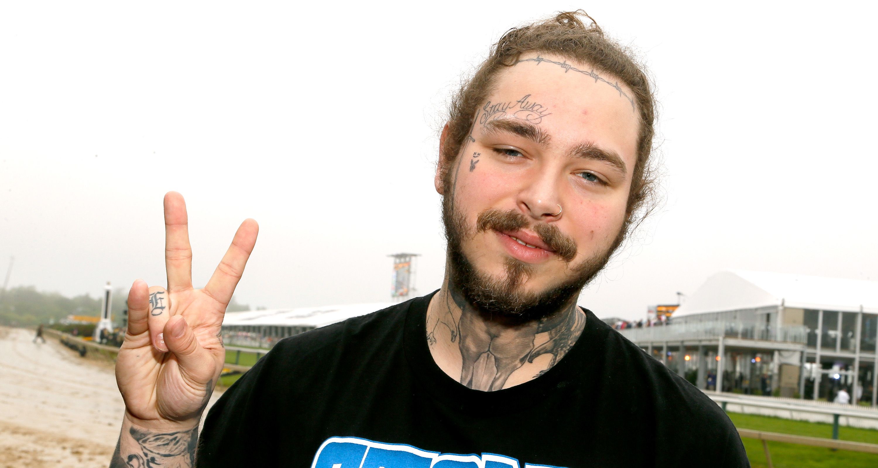 Share 86 about post malone without tattoos super cool  indaotaonec