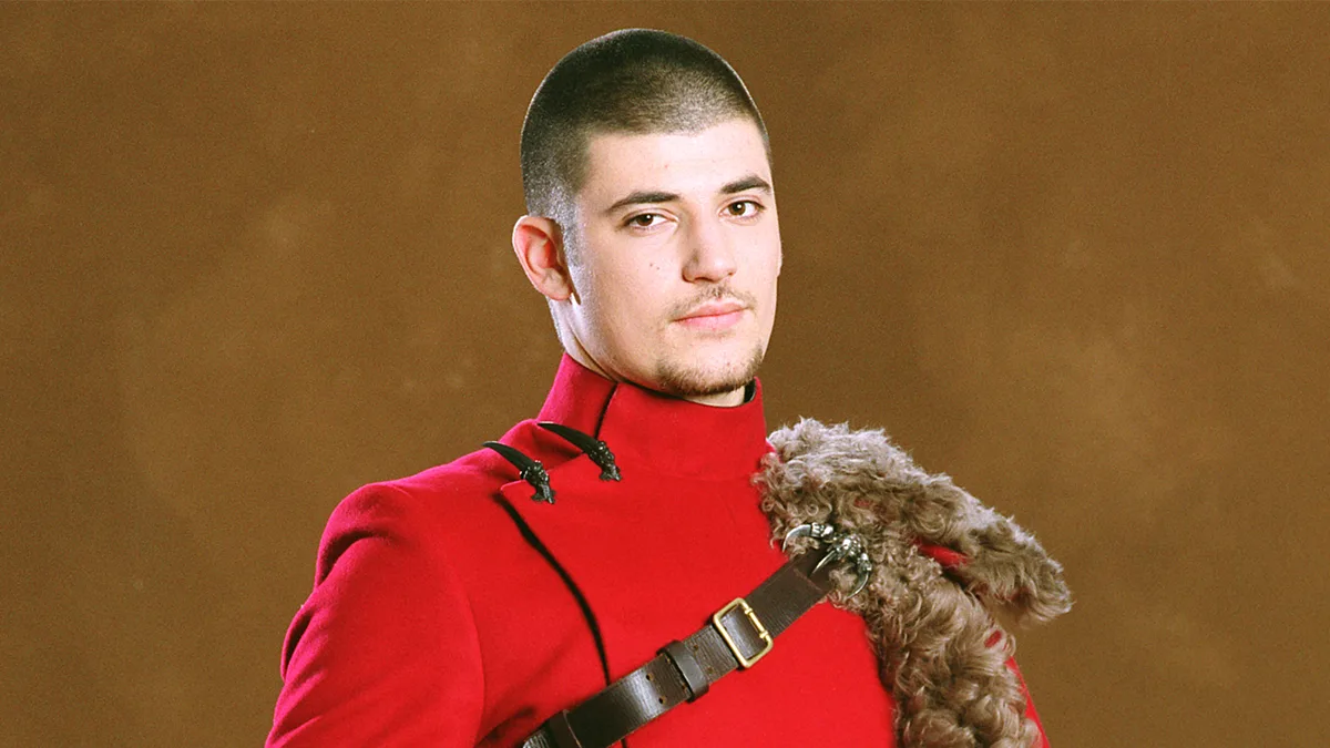 Harry Potter And The Goblet Of Fire Viktor Krum