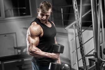 Gymheads take to eating dog food due to its high protein content