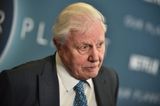 Sir David Attenborough selected as Earth’s representative if we ever make contact with aliens