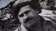 Scientists say Pablo Escobar’s hippos must be culled as population surges