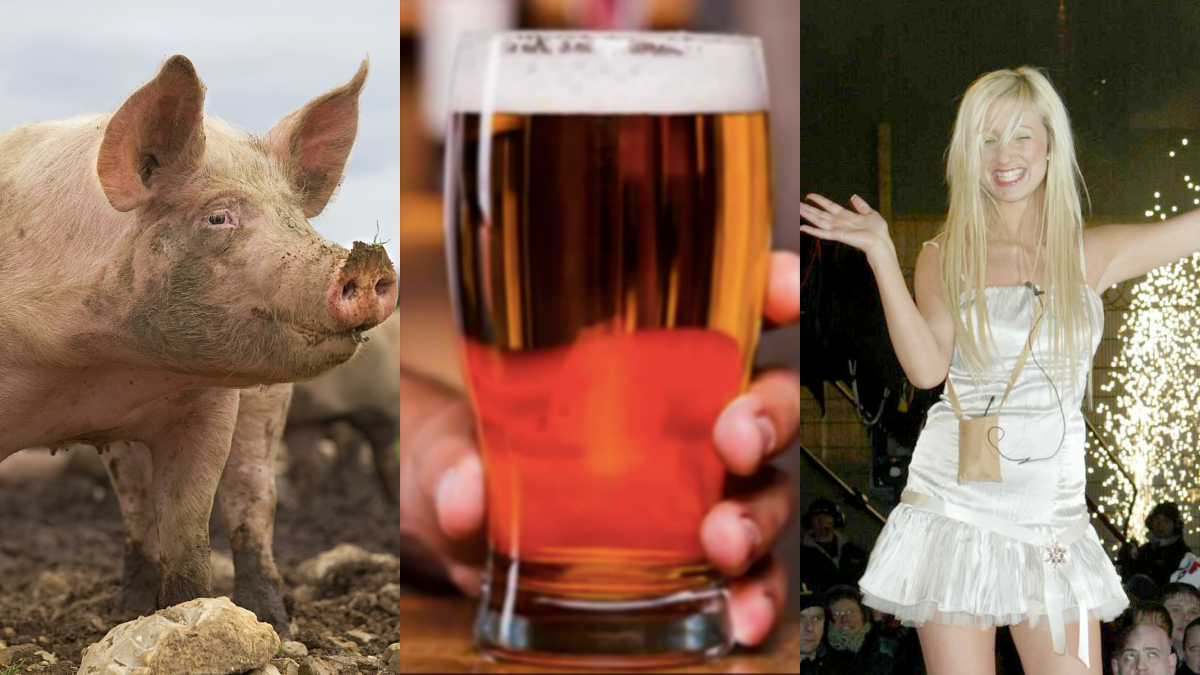 The JOE Friday Pub Quiz Week 232