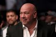 Dana White responds to Jake Paul threatening to KO him