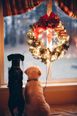 People who put up Christmas decorations early are happier according to science