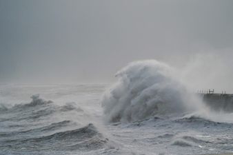Storm Arwen: Third person crushed to death by tree amid weather chaos