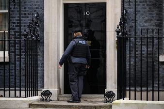 Tory donor and Rees-Mogg’s business partner quietly appointed as trade minister