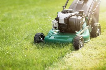 People are being told to not cut their grass in May for a good cause