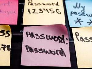 Online passwords should be completely scrapped to stop hackers, says cyber expert
