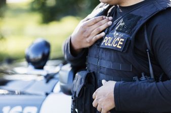 Man calls police to report truck that he nicked has been stolen again