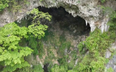 Secret sinkhole in China reveals ancient hidden forest with possible ‘new species’, scientist say