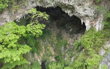Secret sinkhole in China reveals ancient hidden forest with possible ‘new species’, scientist say