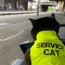 Man sues Sainsbury’s for discrimination after banning his assistance cat Chloe