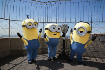 Teens are turning up to watch Minions in suits – and why cinemas have been forced to ban them