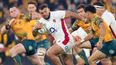 Full England player ratings as Australia bullied in Brisbane