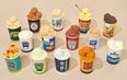 Ice cream shop opens selling PG Tips, Frosties and HP Sauce flavours
