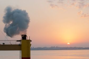 Man killed after falling 100ft into smokestack he was working on in the US