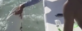 Fisherman fights shark as he tries to get his finger back- ‘I lost my goddamn pinky’