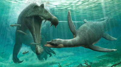 Loch Ness Monster existence ‘plausible’ after incredible discovery in Morocco’s Sahara Desert