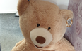Police catch car thief after noticing giant teddy bear is breathing – and he’s hiding inside