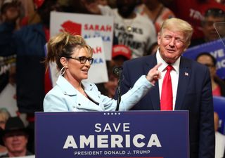 Sarah Palin ‘Zoom bombed’ by drawing of giant penis