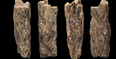 Incredible case of the only known individual whose parents were two different species
