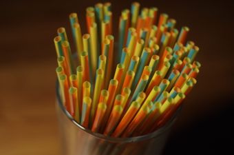 Straw poll divides opinion