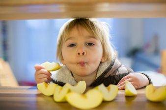 California to become first state to offer free school meals to every kid