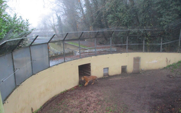 UK zoo hits back as visitors brand it a ‘zombie apocalypse’ with ‘sad and abandoned’ animals