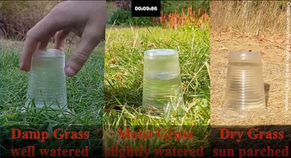 Meteorologists explain why drought leads to dangerous flooding with one simple experiment