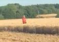 Angry local jumps in front of combine harvester to complain about his dusty sandwich