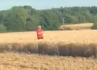 Angry local jumps in front of combine harvester to complain about his dusty sandwich
