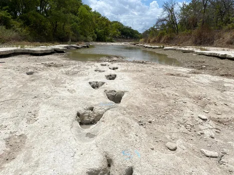 Drought conditions reveal dinosaur tracks