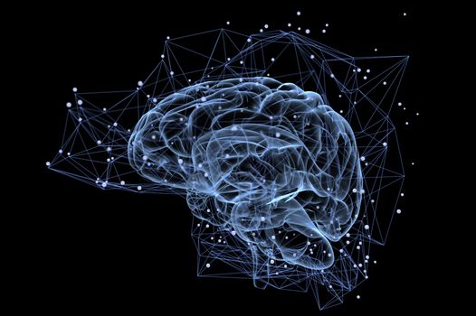 Picture of brain activity