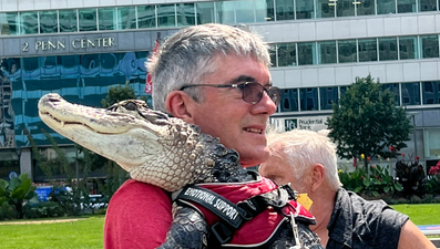 People are losing it after man is spotted with an emotional support alligator