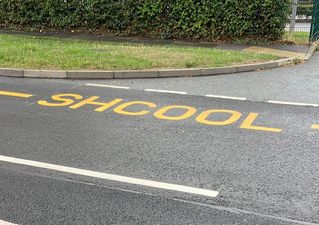 Too cool for shcool: Road marking painters have a mare