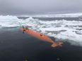 Huge glacier the size of Florida ‘holding on by its fingernails’