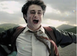 Warner Bros CEO says they will make more Harry Potter films