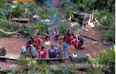 I’m A Celebrity fans puzzled as star goes ‘missing’ during ITV show’s latest instalment