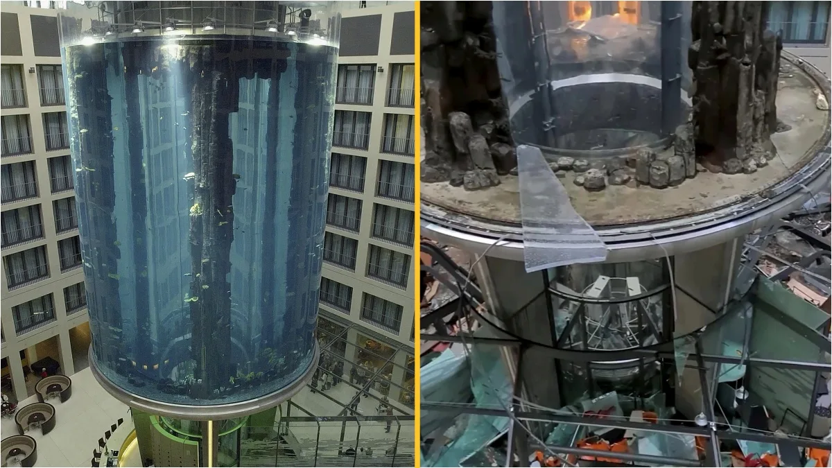 Giant 82fthigh aquarium containing 1,500 fish explodes in Berlin