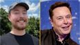 MrBeast asks if he can be the new Twitter boss and Elon Musk responds