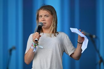 Andrew Tate hits back after Greta Thunberg accuses him of having ‘small d**k energy’