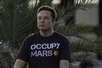 Elon Musk has lost so much money Guinness World Records has recognised it as ‘largest personal loss in history’