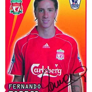 Fernando Torres