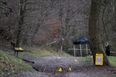 Dachshunds seized after woman mauled to death in horrific Surrey dog attack