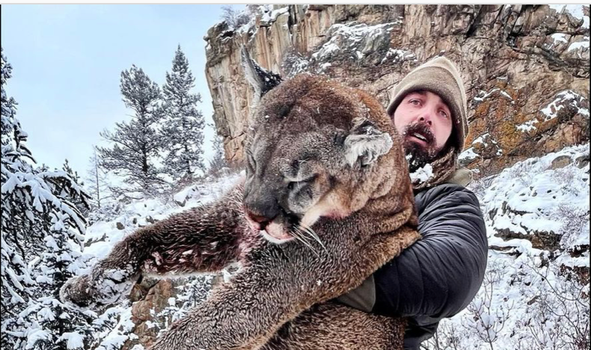Derek Wolfe