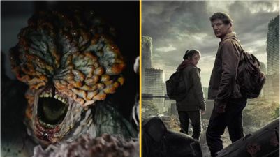 Increase in dangerous fungal infections driven by rising temperatures, in real-life parallel to The Last of Us